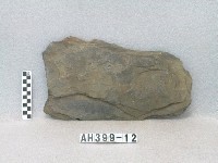 藏品(板棺側板)的圖片